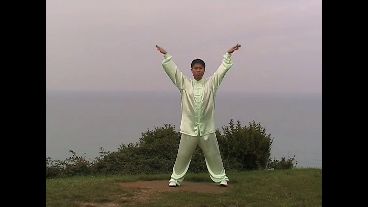Dao Yin Bao Jian Gong Qigong, 1.st Form