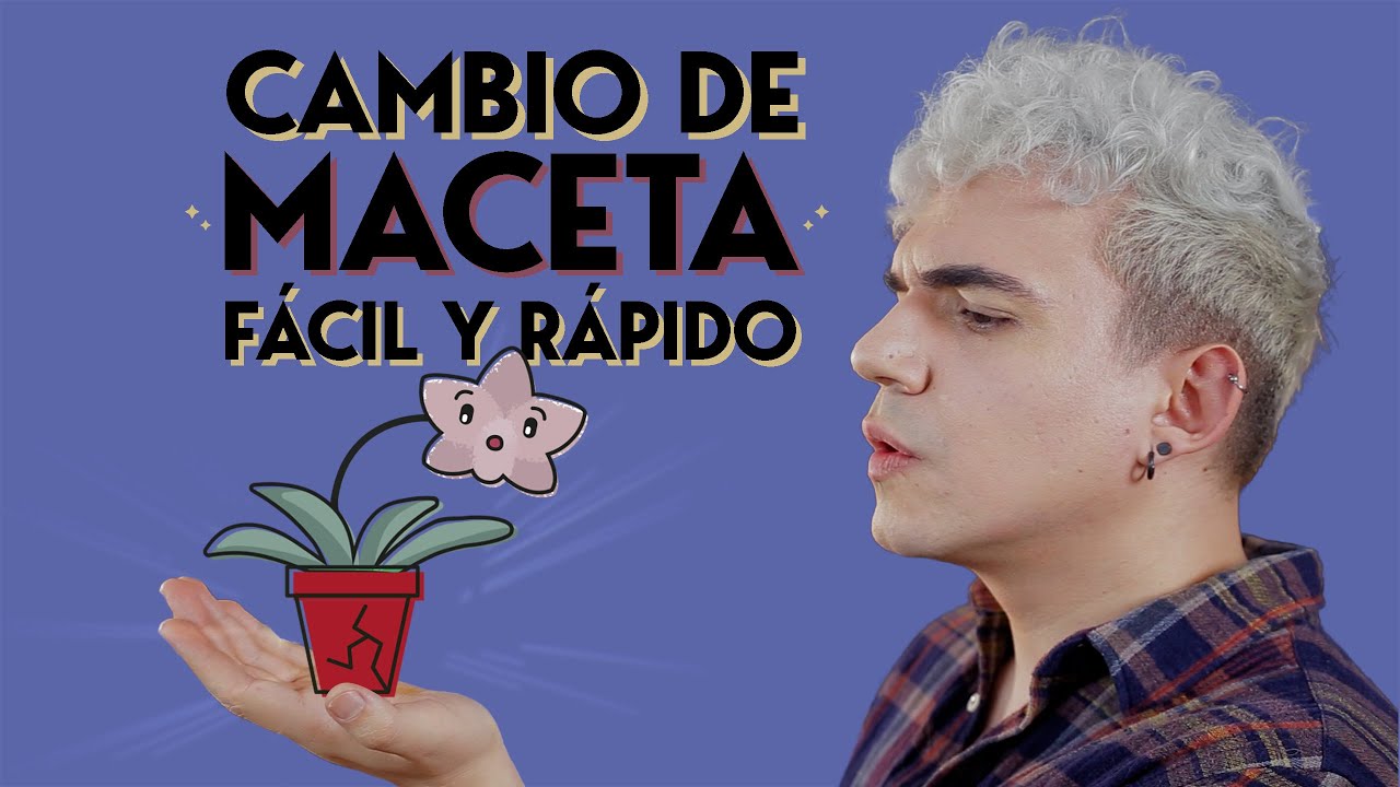 ¿Cómo trasplantar una orquidea?  | | ¡Aprende a cambiar a tu orquídea de maceta paso a paso!
