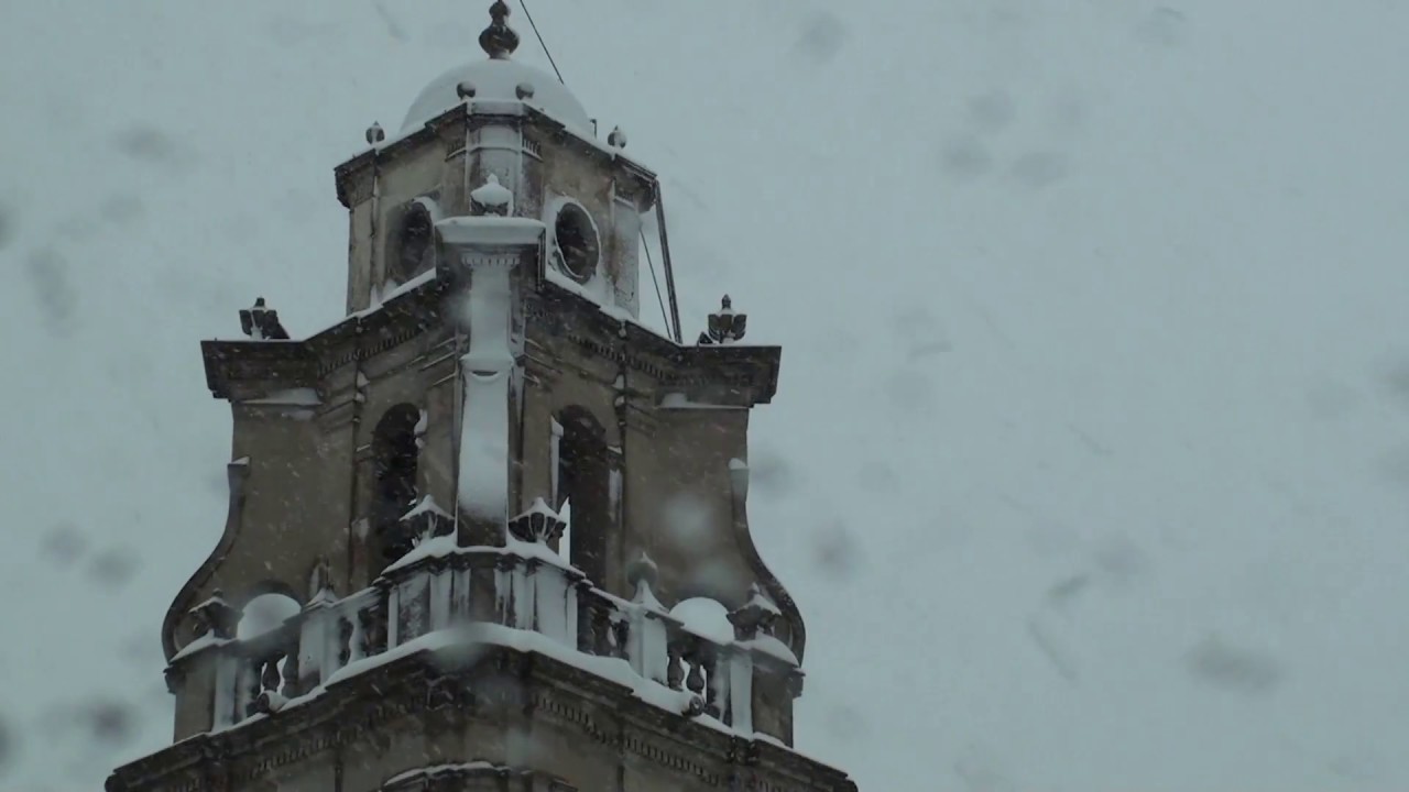 Neu