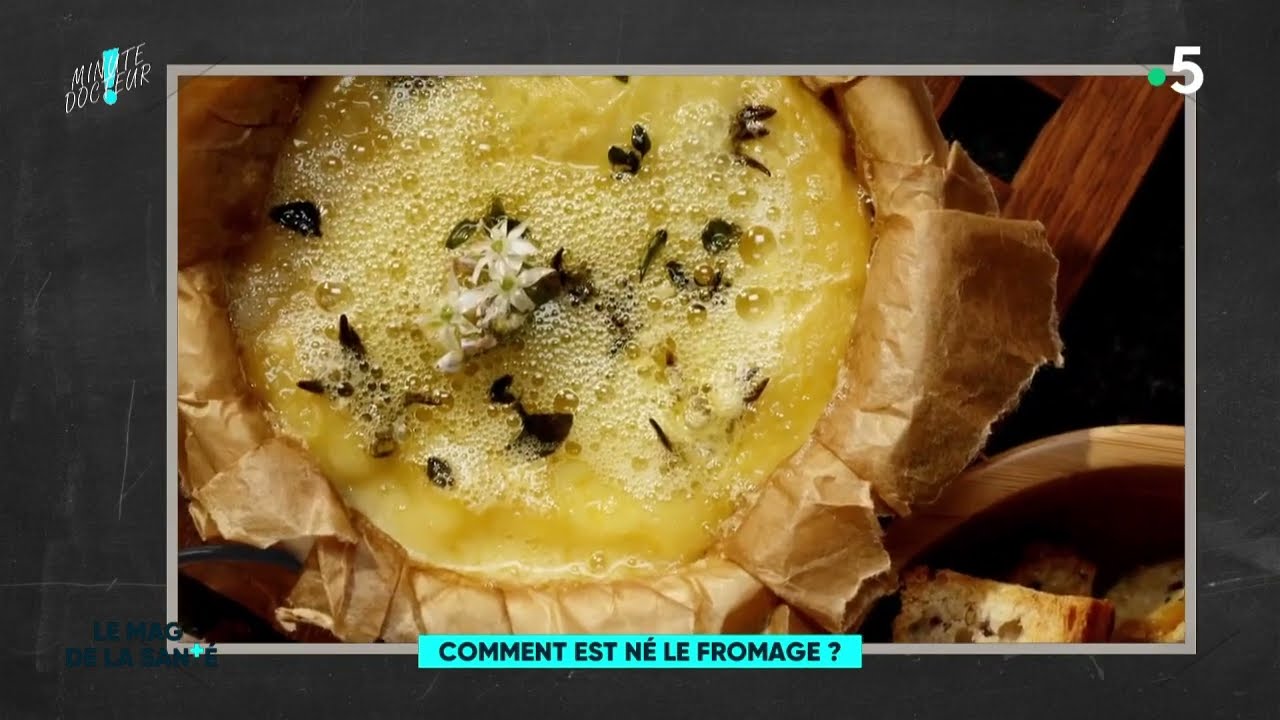 🧀 TOUT sur la naissance du FROMAGE !