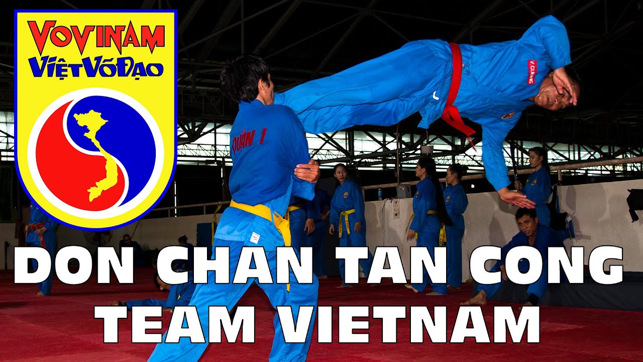 Don Chan Tan Cong Team Vietnam | Vovinam Viet Vo Dao