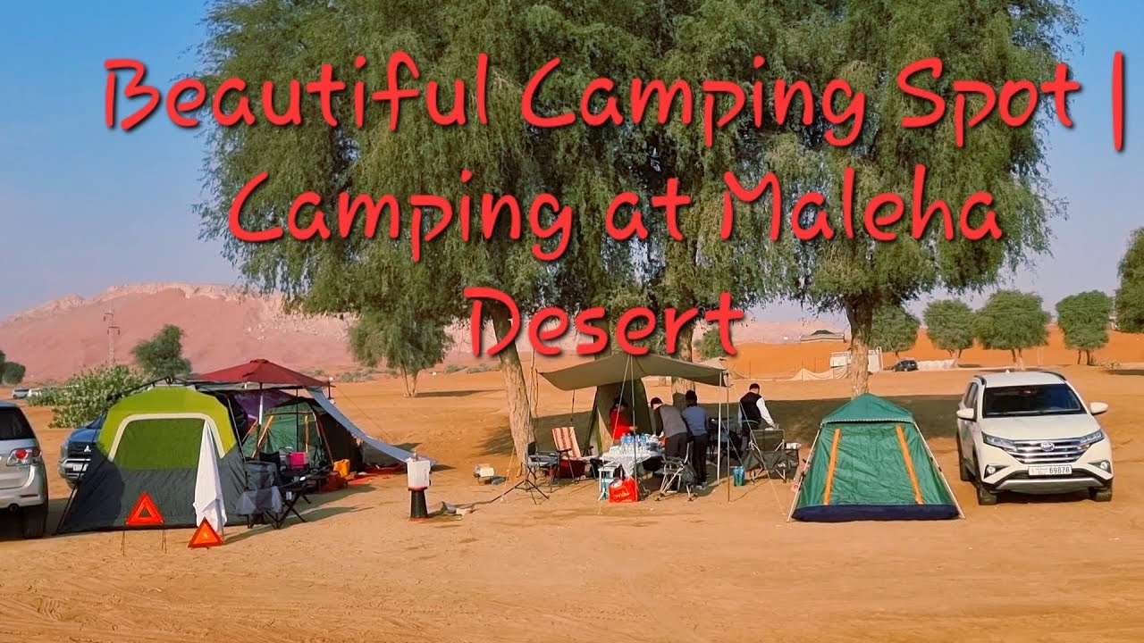 Desert Camping   Camping at Maleha Desert