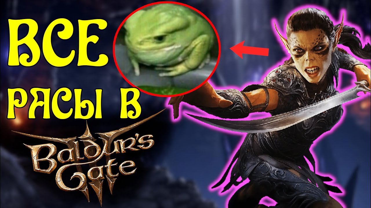 ВСЕ РАСЫ BALDUR'S GATE 3