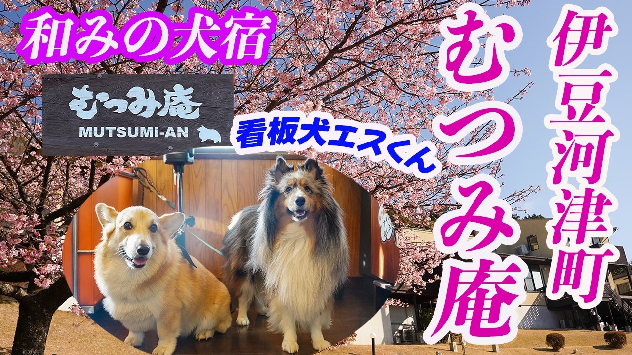【和みの犬宿むつみ庵】伊豆河津町にある人気犬宿　河津桜まつり会場まで車で5分　料理と景色とおもてなしが最高の宿