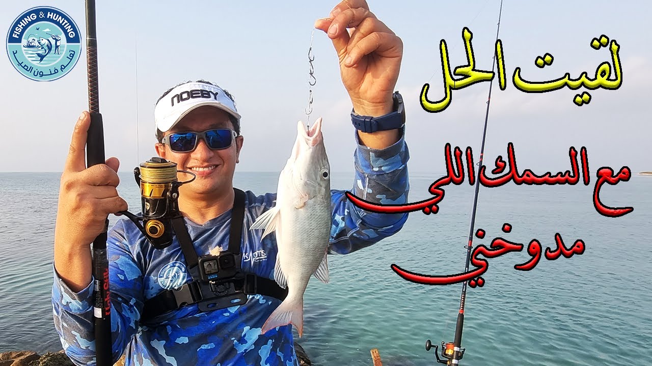 اخيراً لقيت الحل مع السمك اللي مدوخني