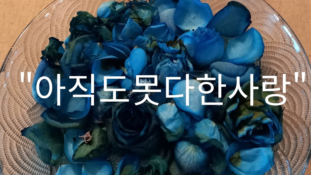 100곡도전.No26#아직도못다한사랑#가수김정하#원곡 솔개트리오.