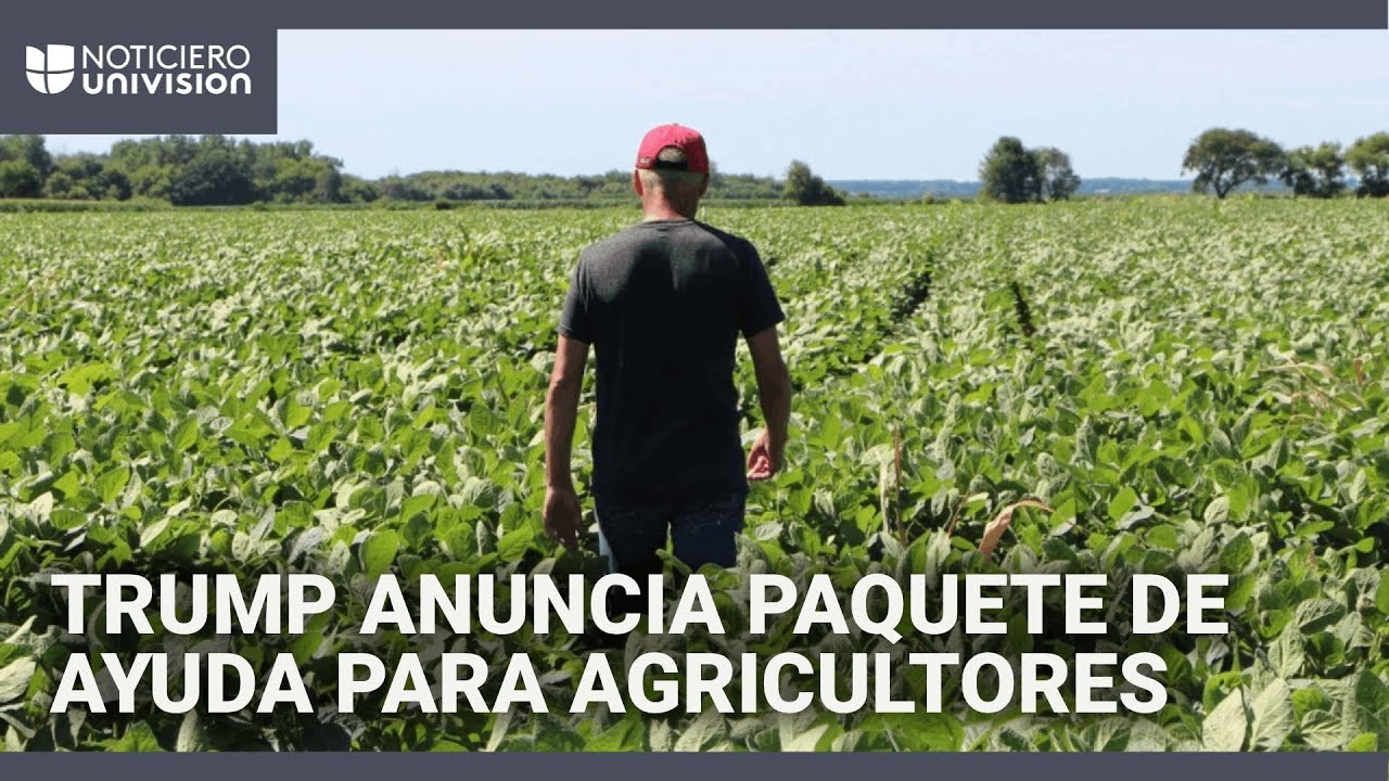 Trump anuncia un paquete de ayuda de $12,000 millones para agricultores afectados por los aranceles