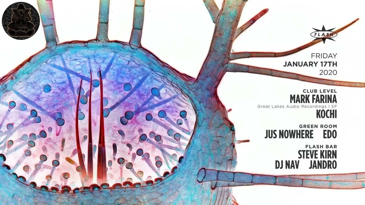 Mark Farina @ Flash, Washington DC- January 17, 2020- Part 2