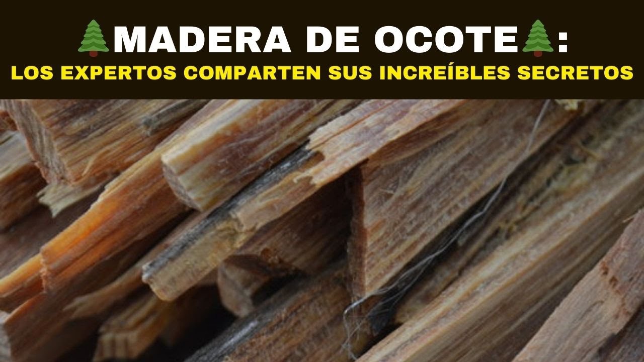 🌲MADERA DE OCOTE: Los Expertos Comparten sus Increíbles Secretos