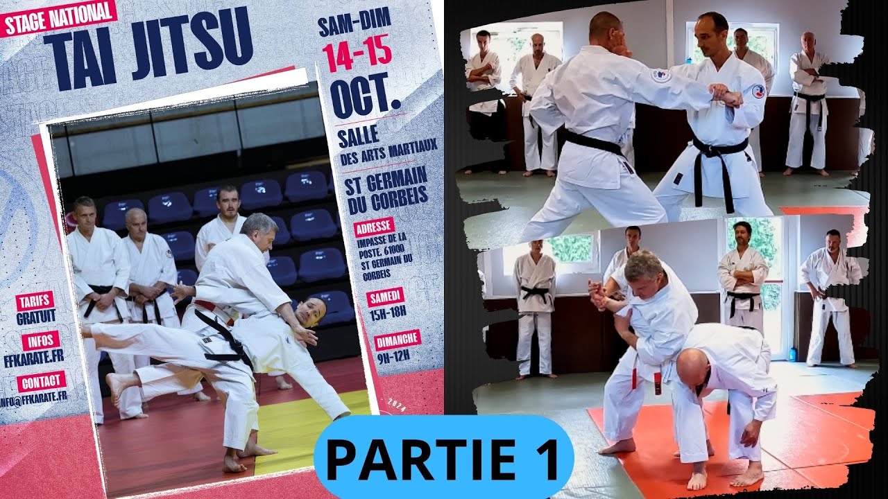 DYNAMISE ton TAI JITSU ⚡️ | Stage National Alençon 2023