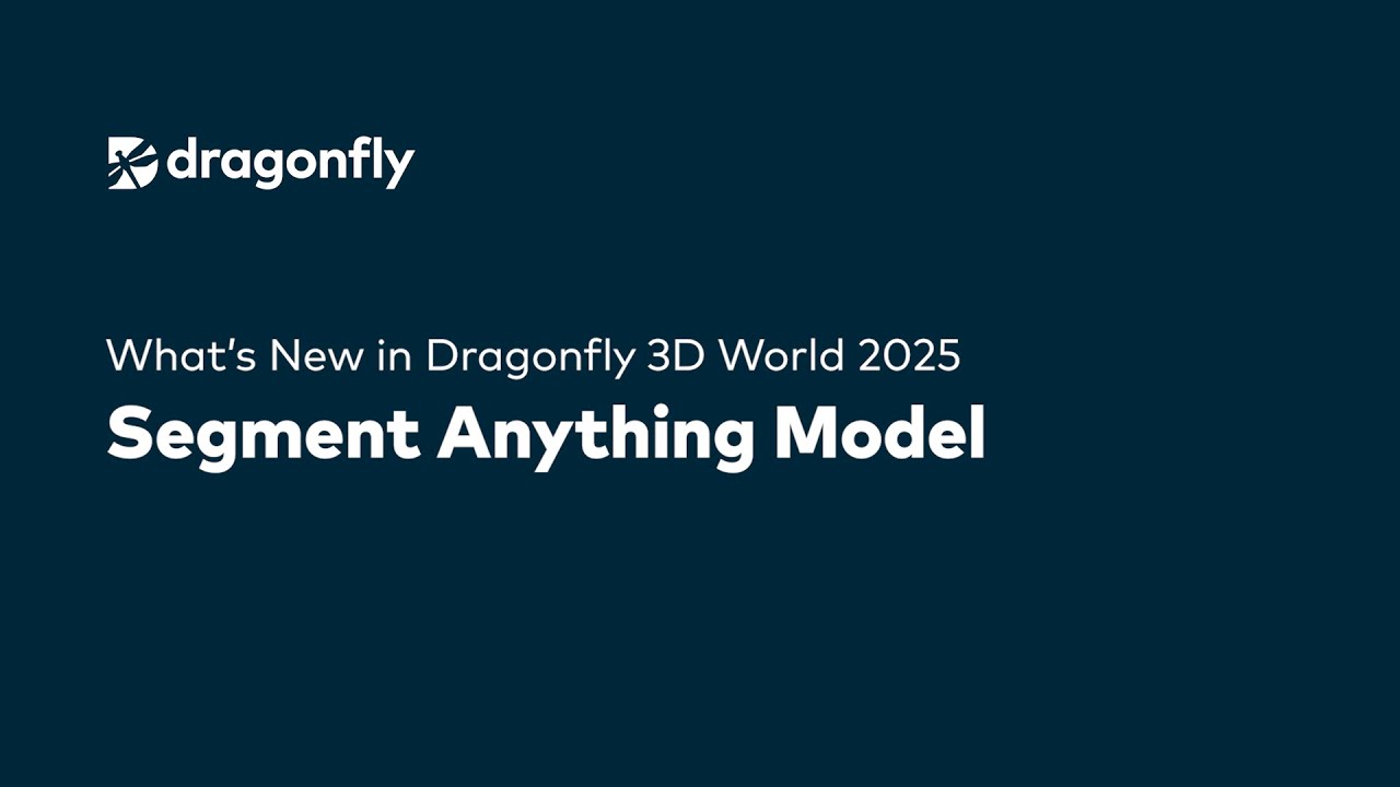 Сегментация одним щелчком мыши с помощью модели Segment Anything в Dragonfly 3D World