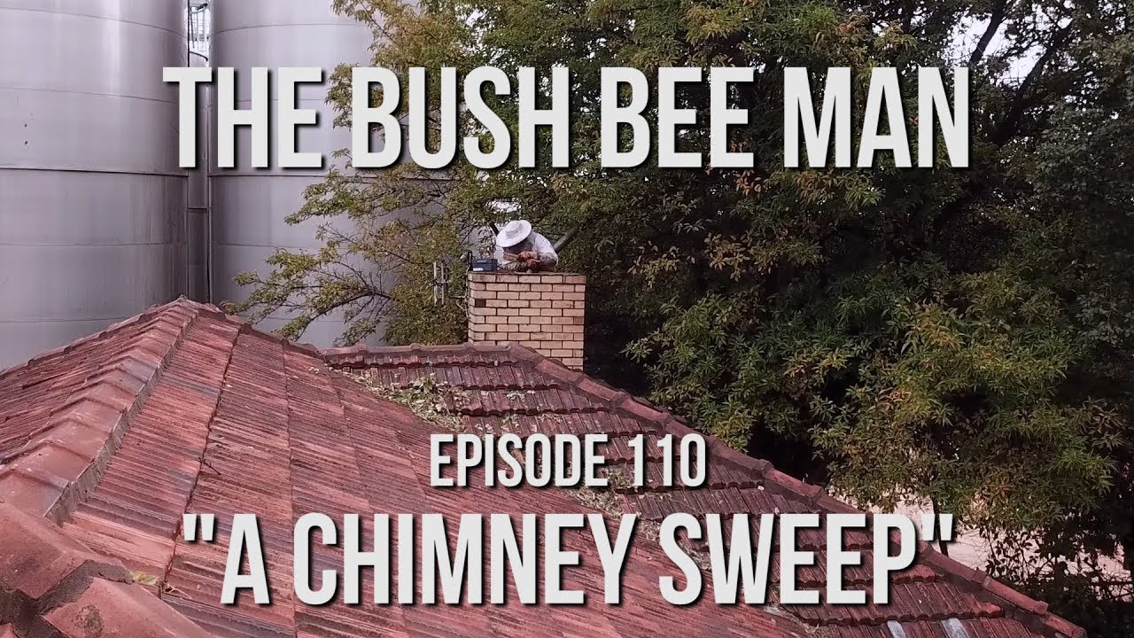 Removing a Wild Bee Hive from a Chimney - The Bush Bee Man