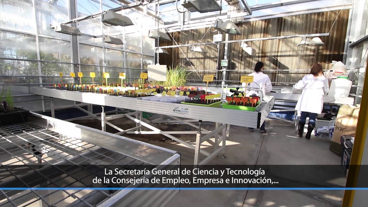 V&iacute;deo HORIZON 2020