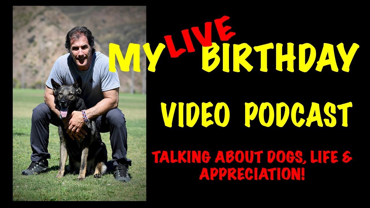 My LIVE Birthday Video Podcast -  sending love to all of my dog loving friends