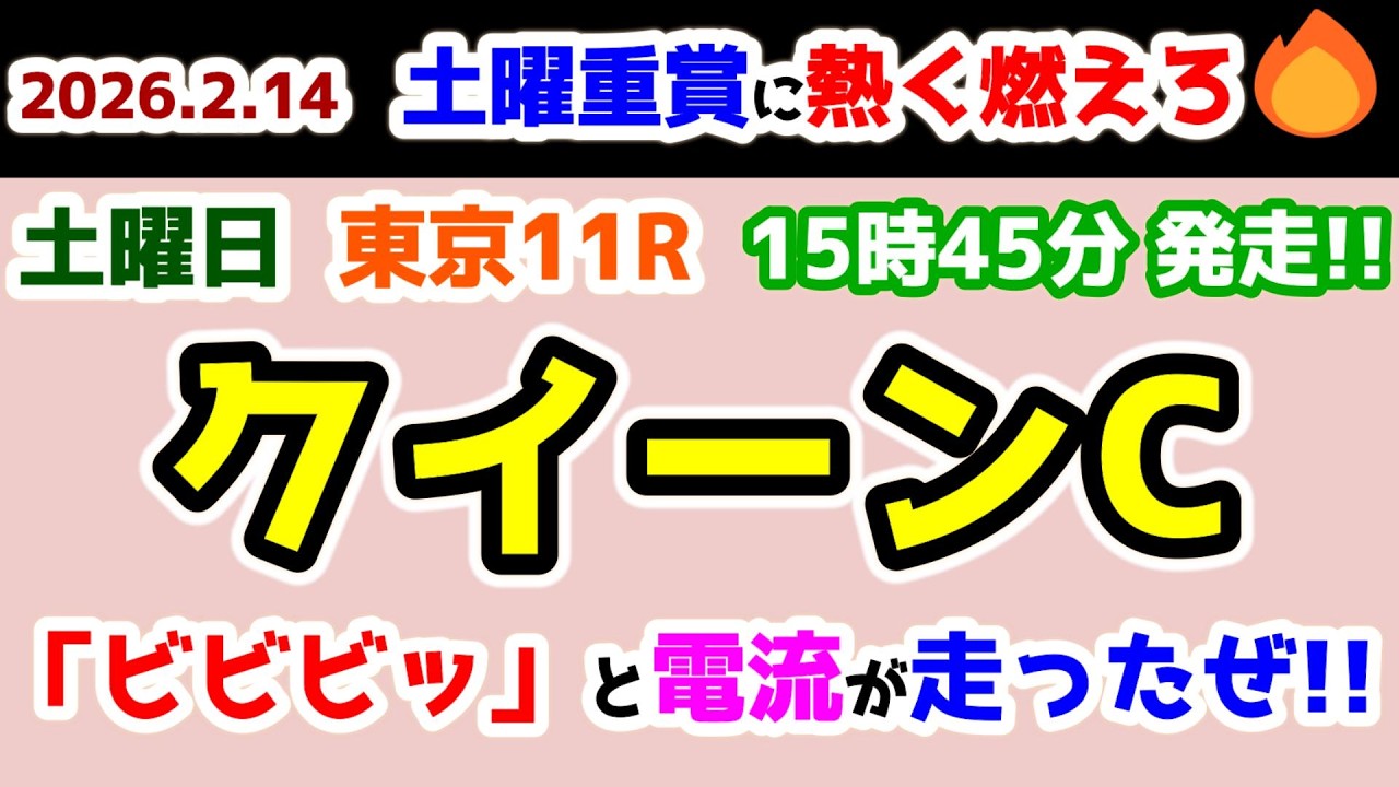 【土曜レースに熱く燃えろ🔥】 「ビビビッ」と電流が走ったぜ!!　ならばチャレンジでしょ😤 【2026.2.14 東京11R クイーンC (GⅢ)】