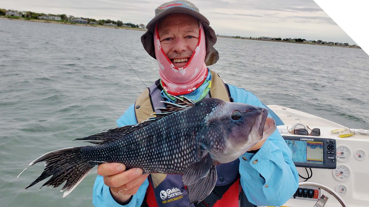 NON STOP Peanut Bunker Sea Bass - Salt Water, Buzzards Bay