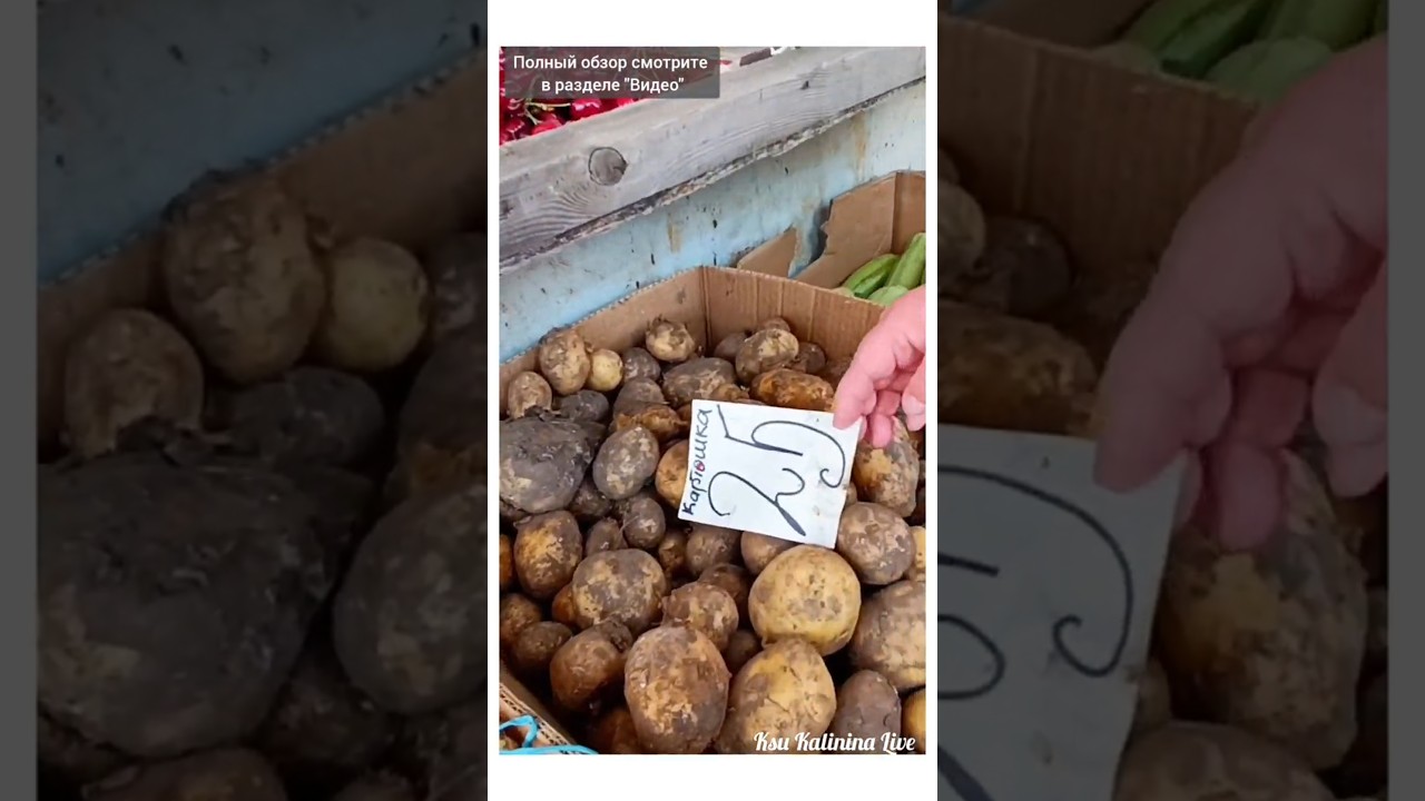 🛒 ХАРЬКОВ ~ ЦЕНЫ НА АЛЕКСЕЕВСКОМ РЫНКЕ ~ KHARKIV THE MARKET ON ALEKSEEVKA WAS VERY PLEASANT