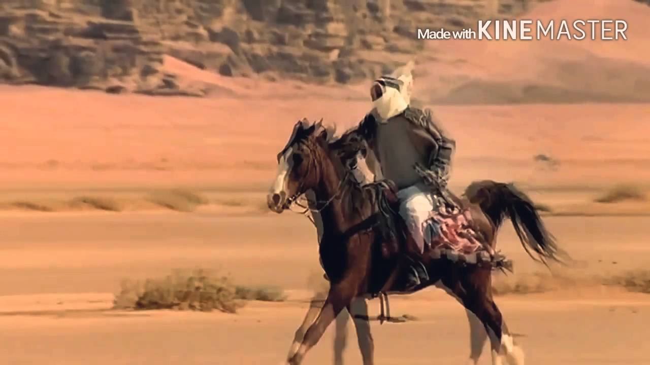 قنبلة قريش فدا فدا || كلمات شبل قريش راكان القرشي || اداء صوت الجحادل ||
