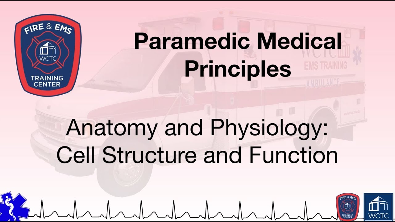 Paramedic 2.08 - Anatomy and Physiology: Cell Structure and Function