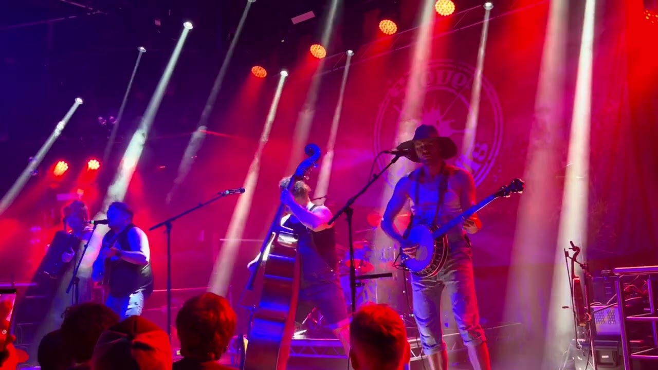 Steve 'N' Seagulls 