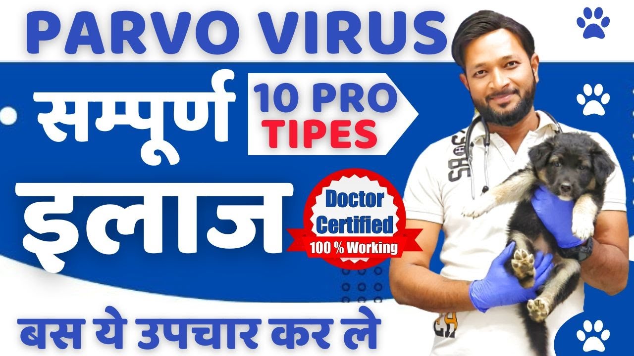 Parvovirus Ka Ilaj | Puppies | Dog |Parvovirus Symptoms | Treatment | Treatment At Home In Hindi