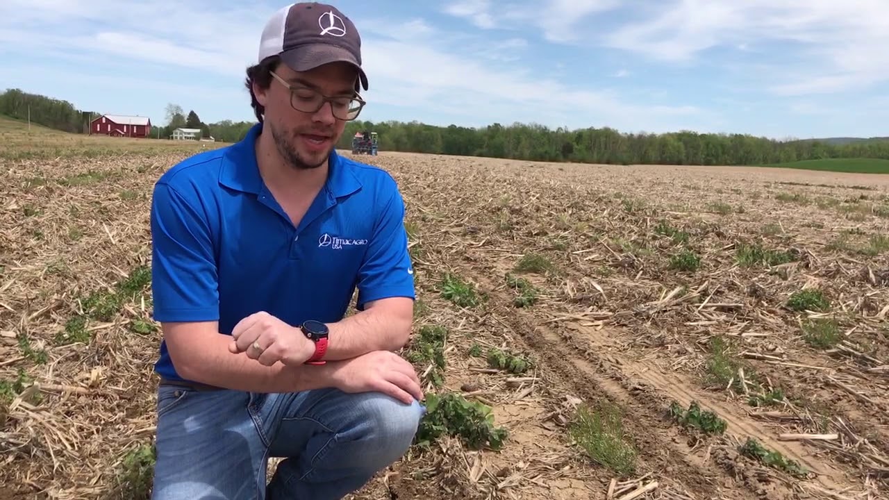 Facts From the Field - No-till Corn