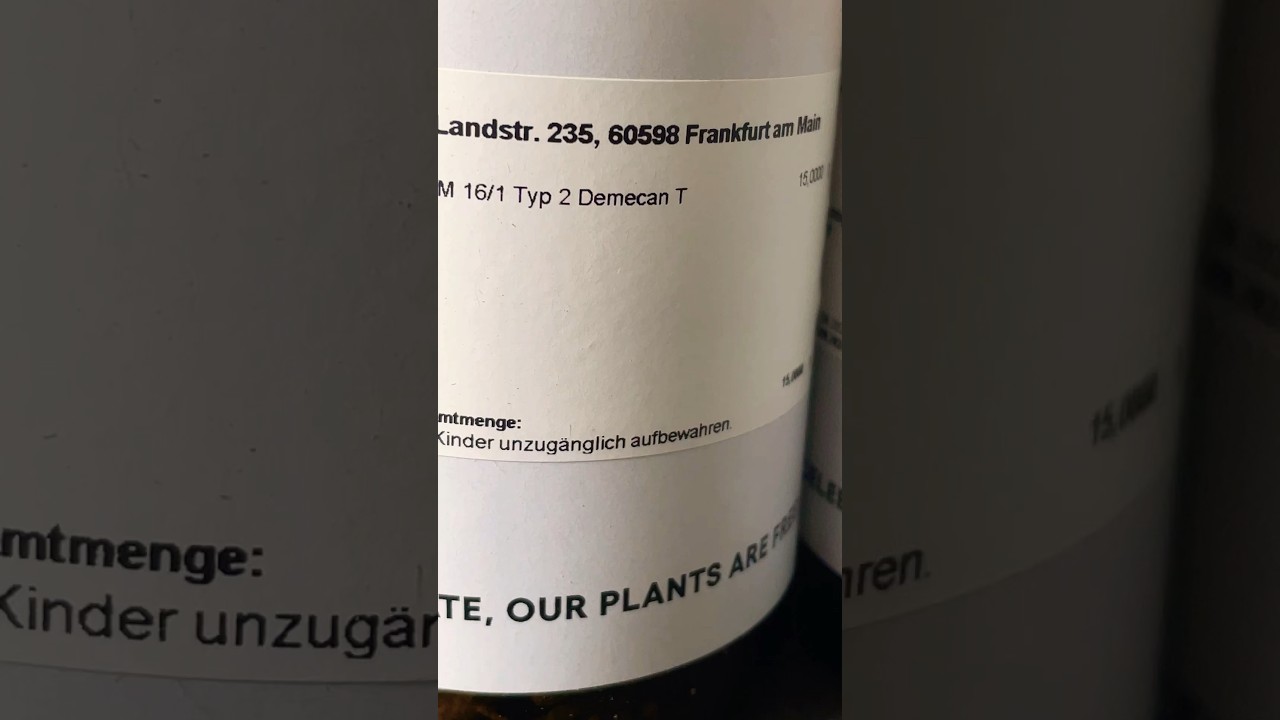 3 Medizinische Cannabis Sorten Schnell Check