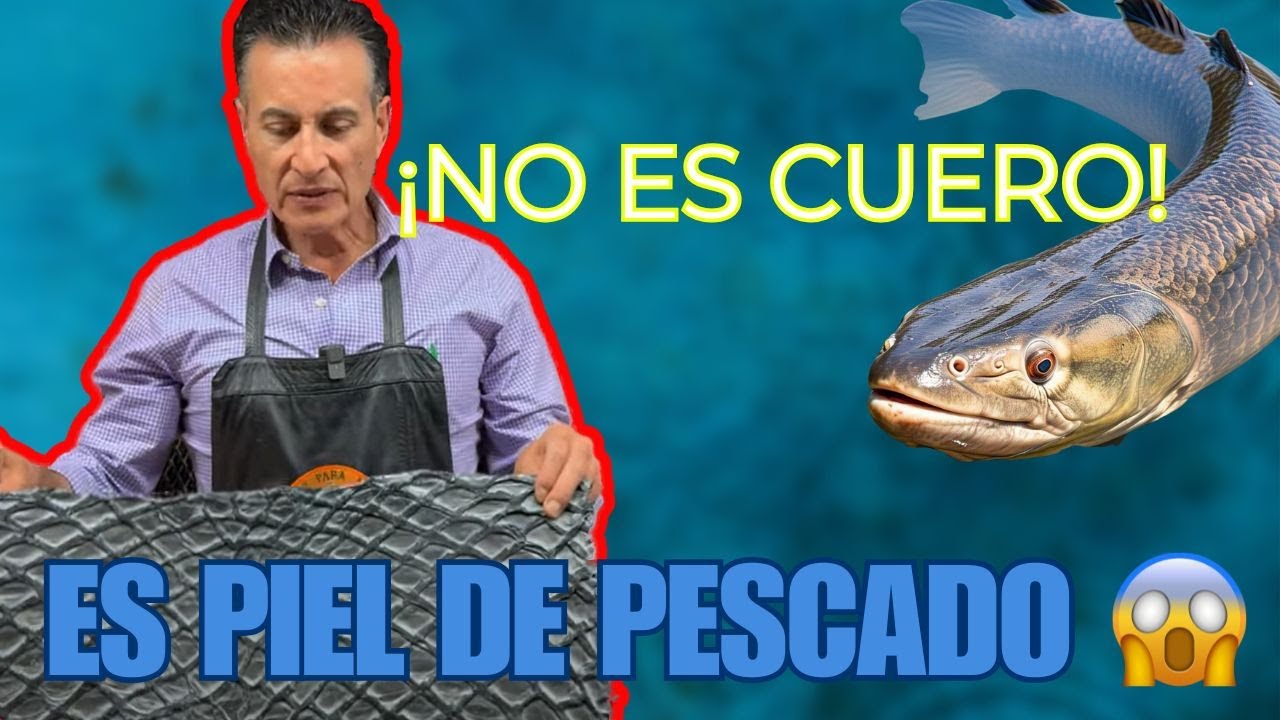 LAS 3 CARACTERÍSTICAS QUE NO SABÍAS DE LA PIELES DE PESCADO PIRARUCU