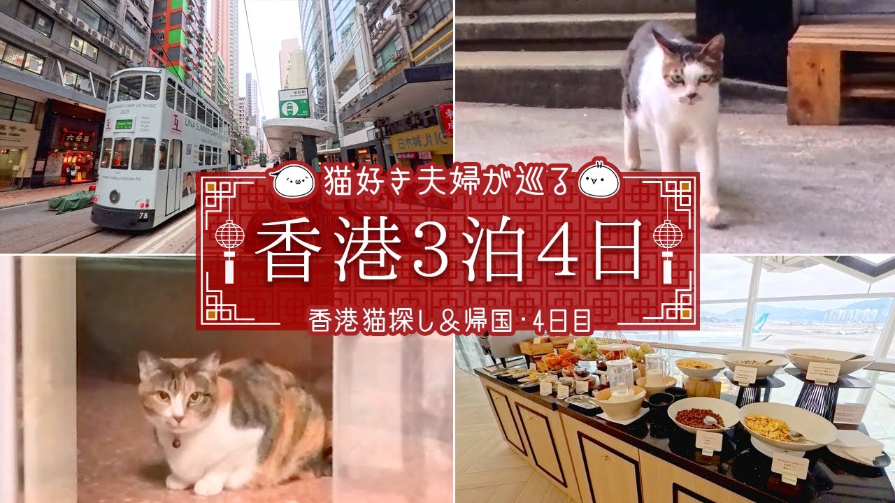 【香港週末猫探し旅】香港猫に別れを告げ香港国際空港ラウンジを堪能後帰国♪1人5万円で行く週末香港3泊4日旅！香港旅④｜旅Vlog