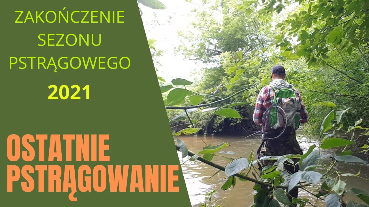 OSTATNIE PSTRĄGOWANIE W SEZONIE  2021/ PSTRĄGI NA SPINNING Z G&Oacute;RSKIEJ RZEKI