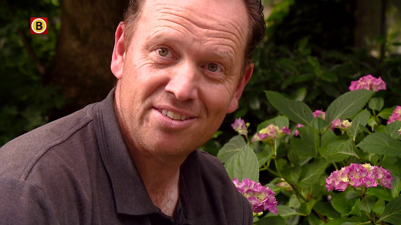 Hovenier Martijn Rekkers geeft tips voor je tuin
