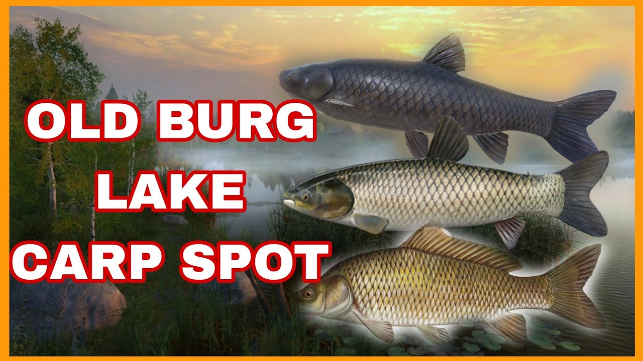 Old Burg Lake Carp spot/ Eski Kasaba Gölü- Russian Fishing 4 #rf4