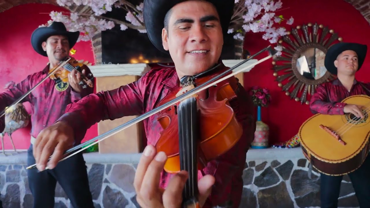 Tóxica Por Amor - Grupo Alebraju (Vídeo Oficial)
