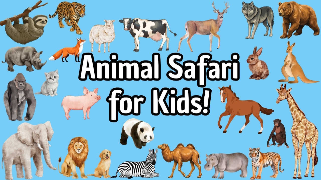 25 AMAZING Land Mammals for Toddlers! 🦁 Learn Animals & Sounds