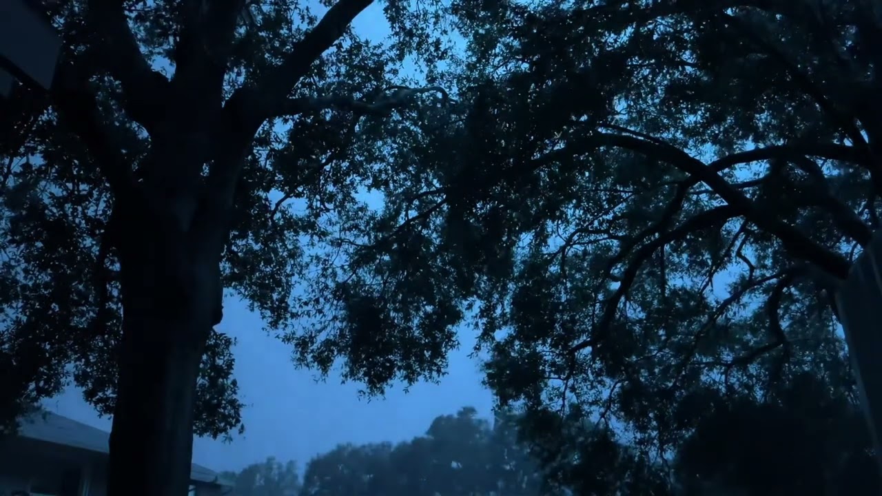 Power Fail - Hurricane Nicole - 11/10/2022