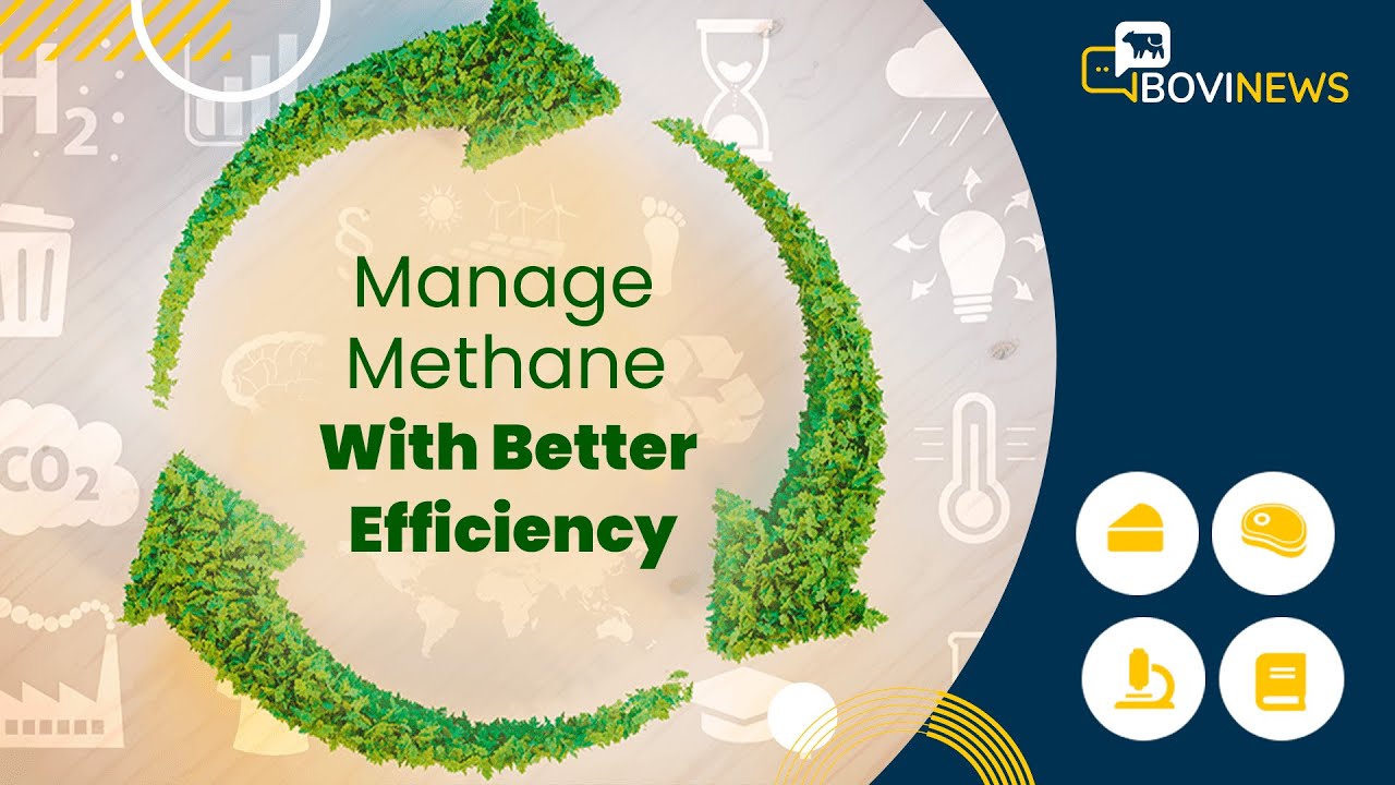 Webinar: Manage Methane With Better Efficiency