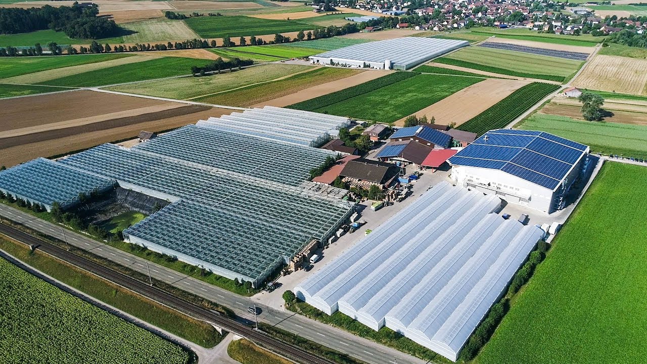 Gemüseanbau in der Schweiz | Pflanzen mit GPS | Grob Gemüseanbau | New Holland PLM