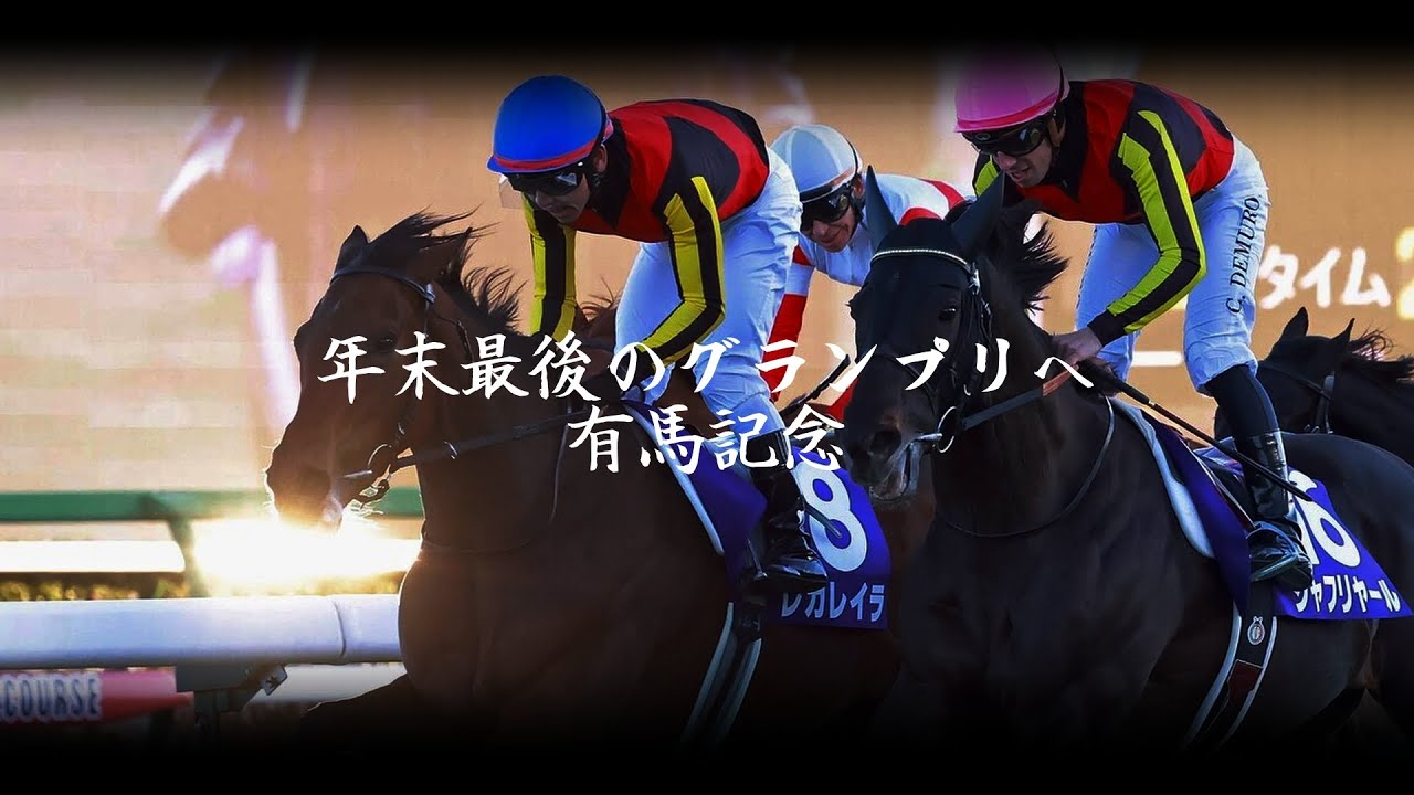 【競馬MAD】夢のグランプリへ【有馬記念】
