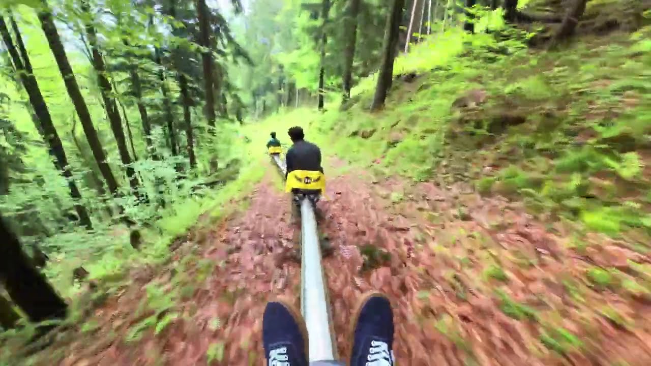 [4K] Summer toboggan run Hallein , Alpine Slide in SALZBURG, AUSTRIA.
