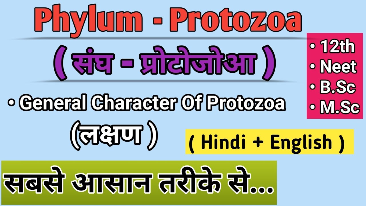 Phylum - Protozoa || General Character Of Protozoa || protozoa in hindi #phylumprotozoa #protozoa