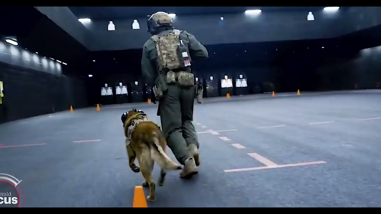 tribute for all k9 unit's