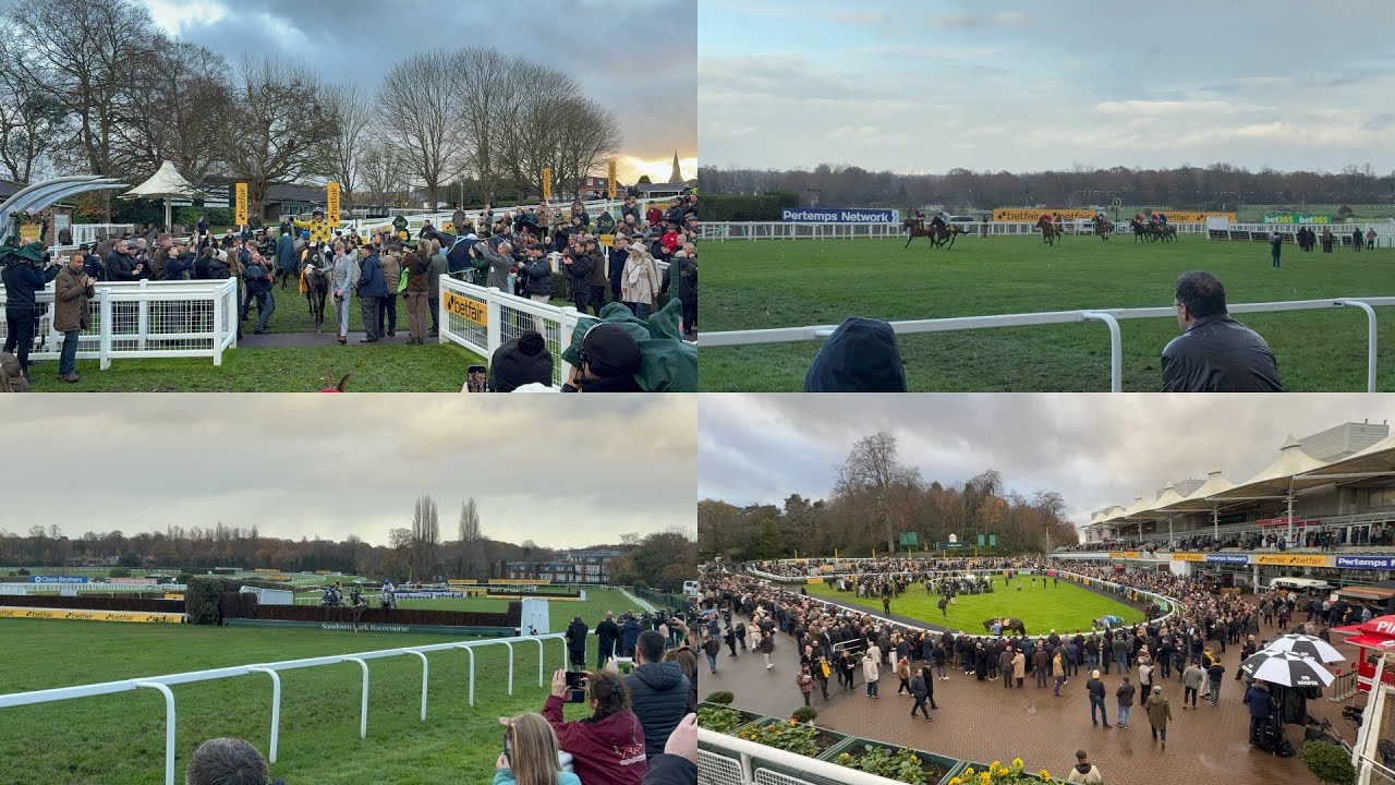 Watching the tingle creek at Sandown | Day At The Races