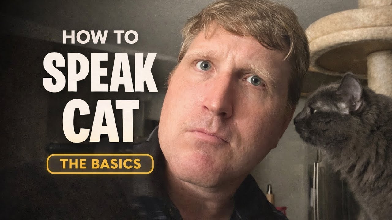 Ever want to learn how to speak cat?