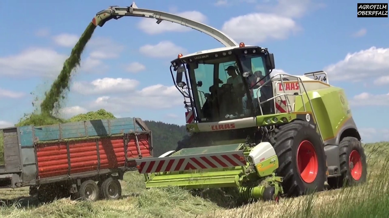 Jaguar im Grünroggen - LU Bücherl mit Claas Jaguar 960