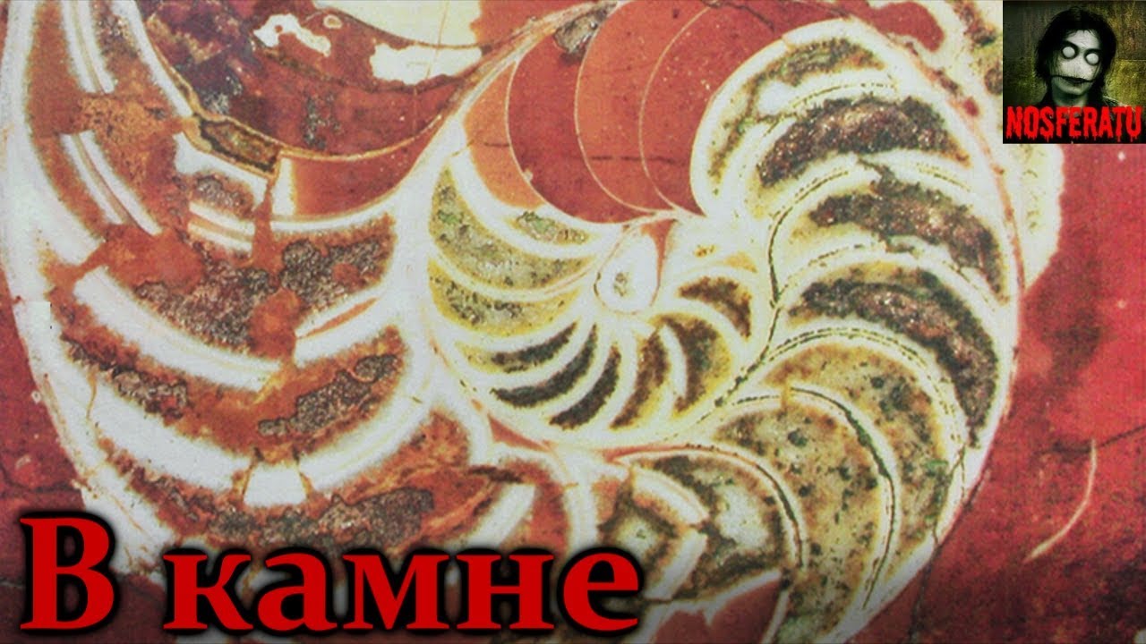 Истории на ночь - В камне