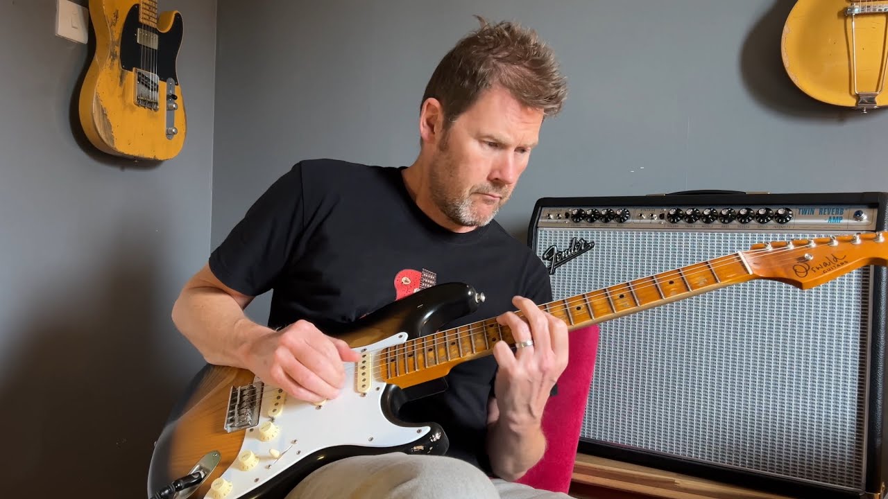 My entire guitar collection 2024