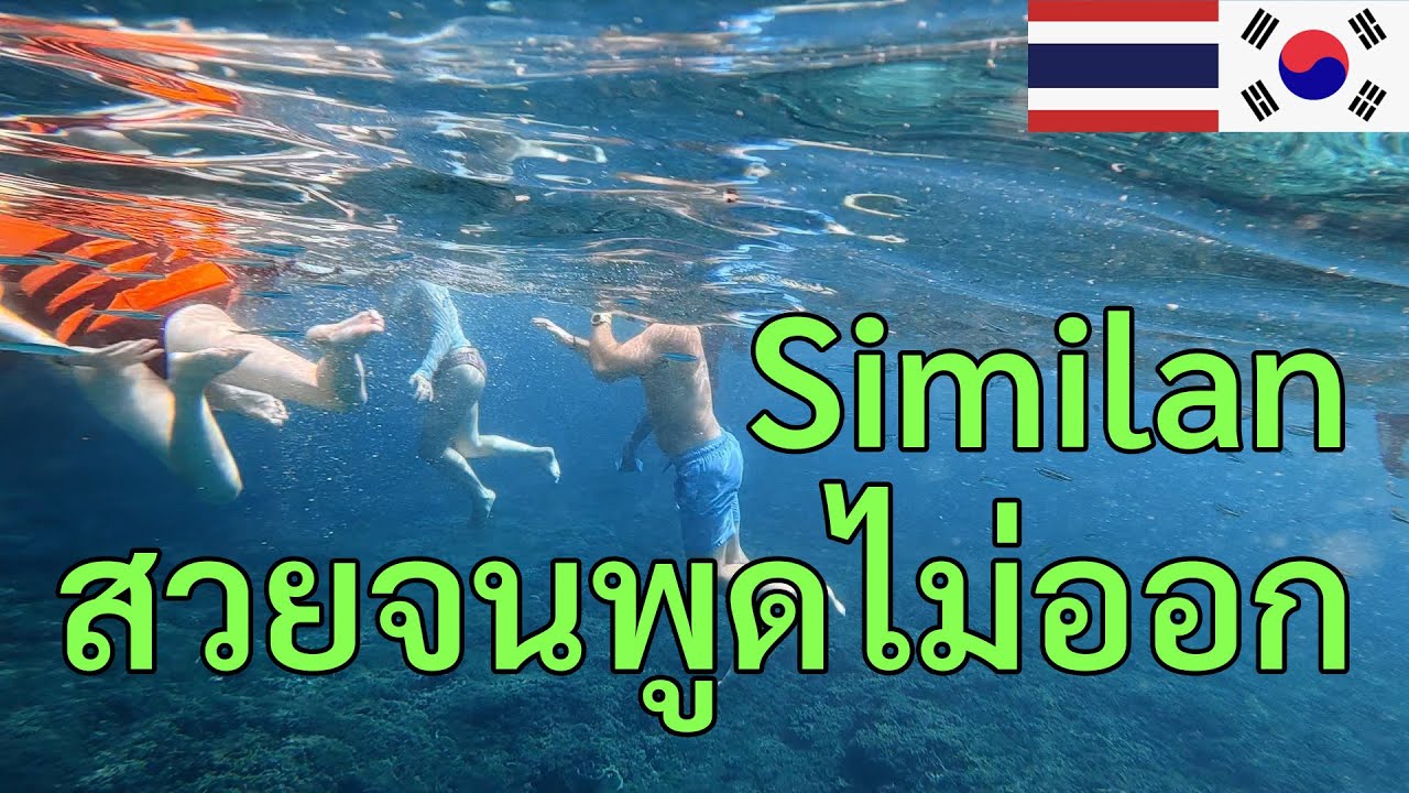 [18]ดำน้ำหนึ่งวันที่หมู่เกาะสิมิลัน | ทะเลอันดามัน | ดำน้ำตื้น