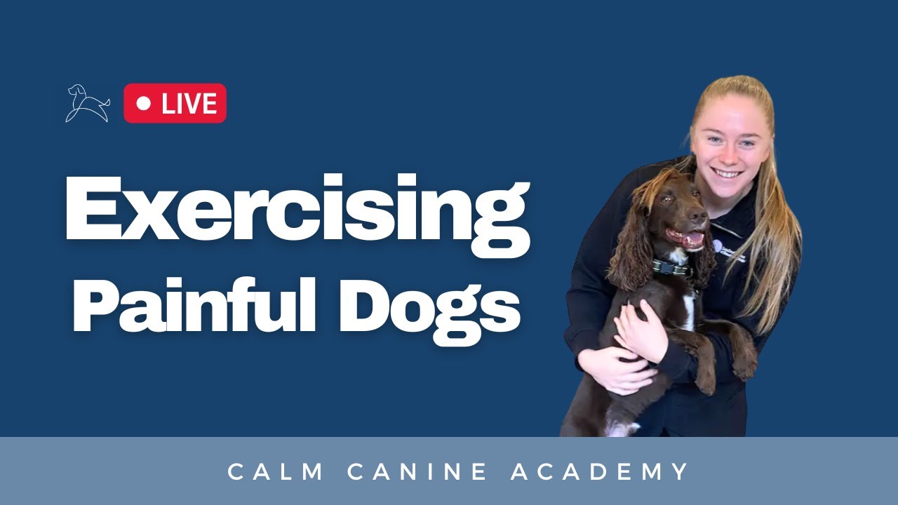 Exercise For Painful Dogs with Beth from Squirrels Chase Veterinary Physiotherapy