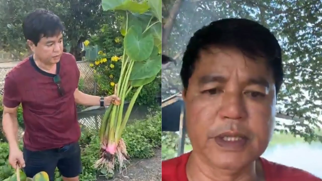 pangunguha ng ibat ibang bunga sa farm