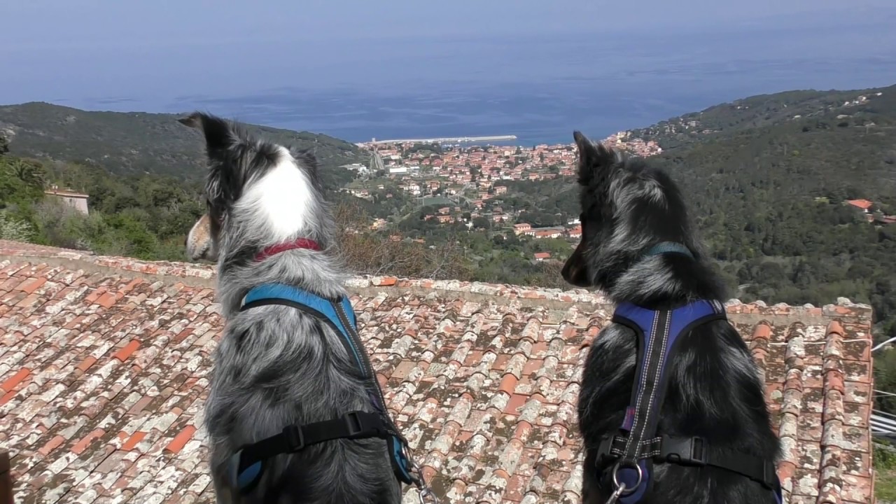 ELBA 2017: Streifzüge 4 - Insel-Rundfahrt